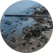 Punta del Este #114 años: Muelle de Mailhos; darse un buen baño descalzo…